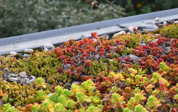 the cost of Henfynyw green roof installation
