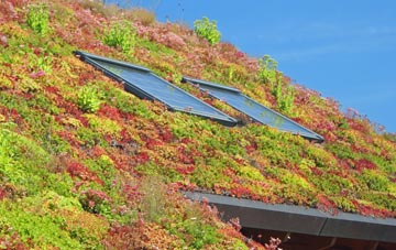 Henfynyw living roof systems