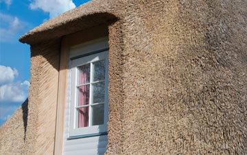Henfynyw thatch roof disadvantages